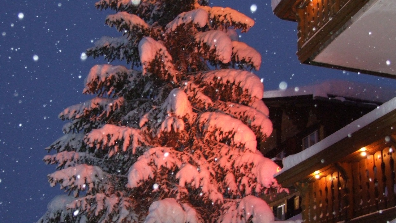 Photo of Outdoor in Sedrun