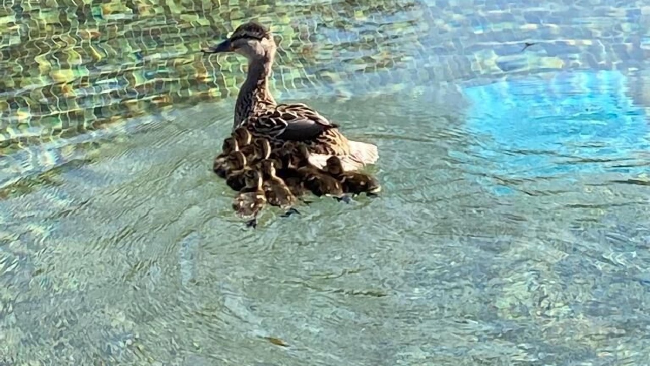 Photo of Outdoor in Ramatuelle