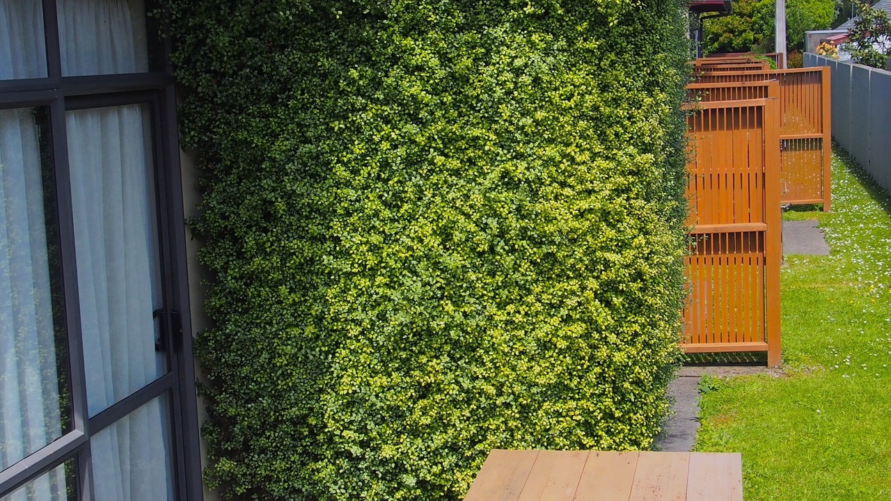 Photo of Outdoor in Trentham