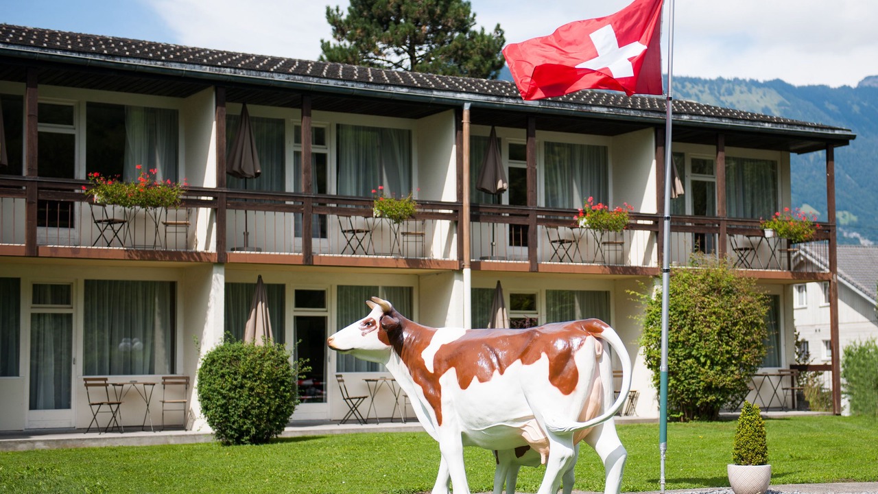 Photo of Outdoor in Wilderswil