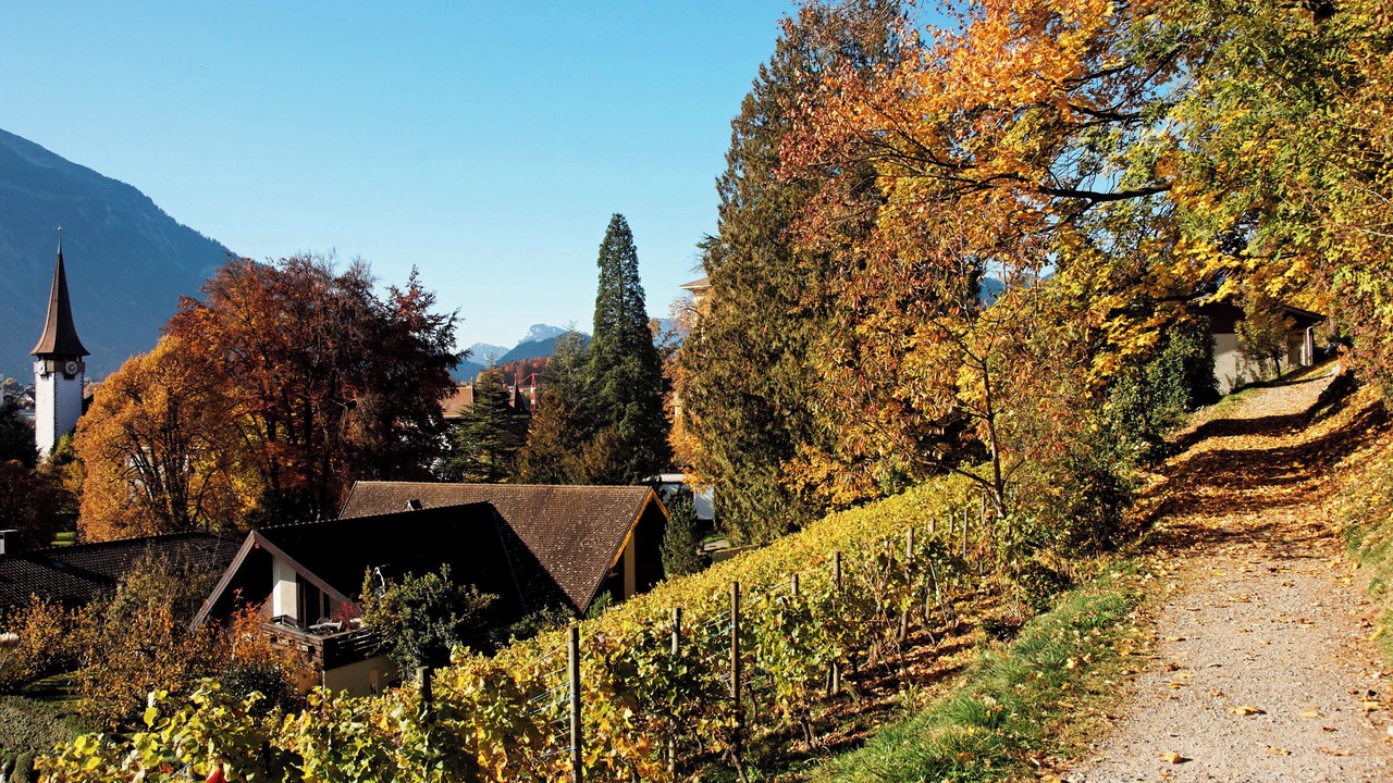 Photo of Outdoor in Wilderswil