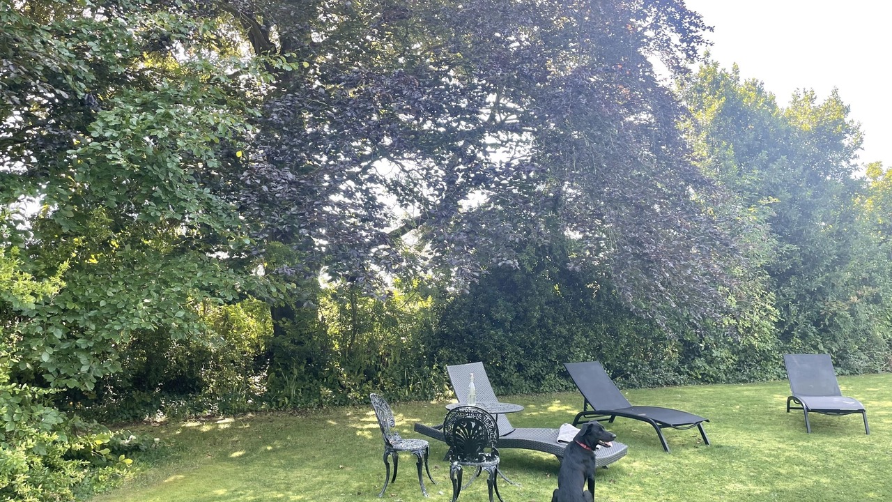 Photo of Outdoor in Somerton