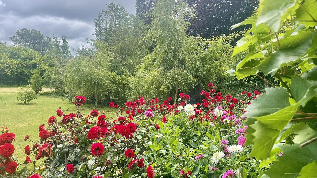 Photo of Outdoor in Somerton