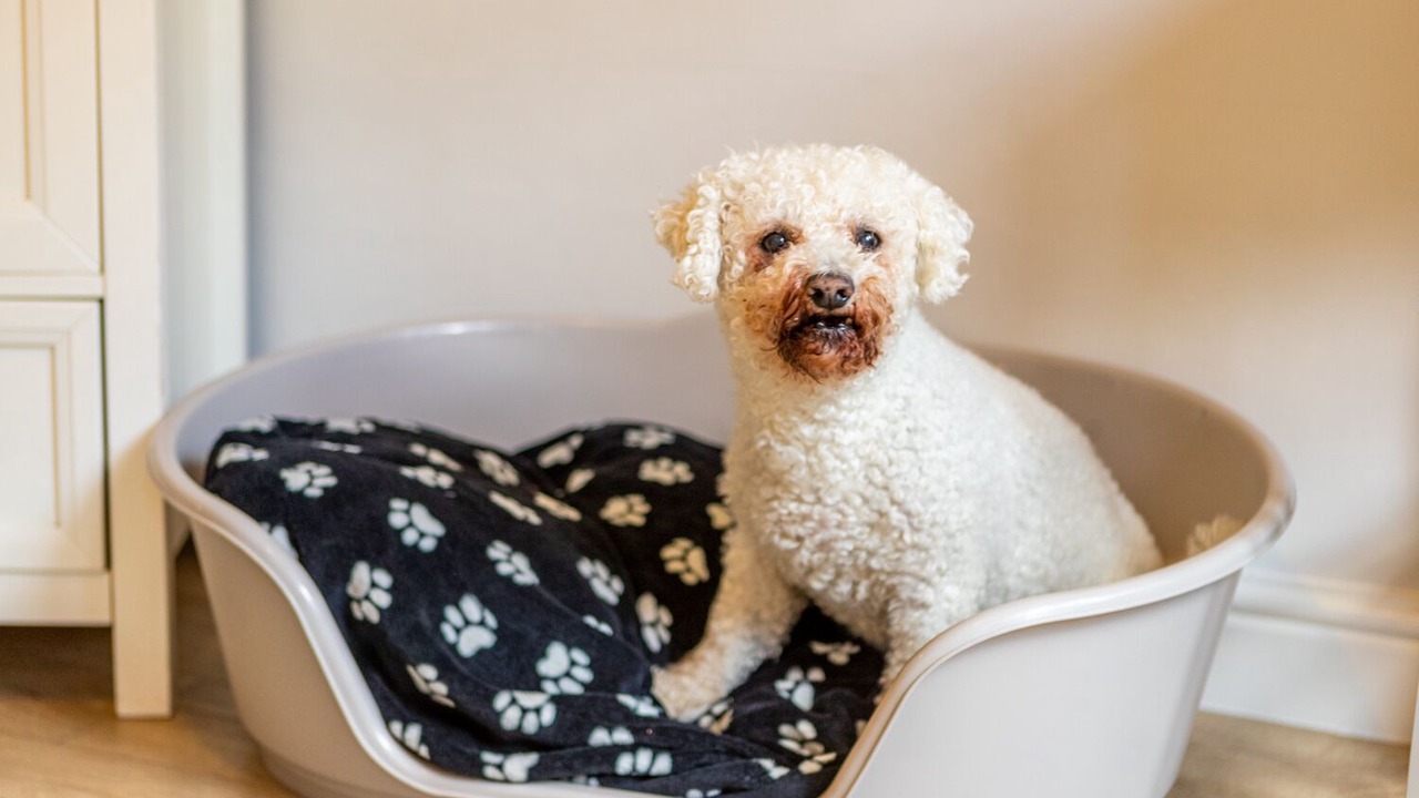Photo of Bedroom in Bowness-on-Windermere