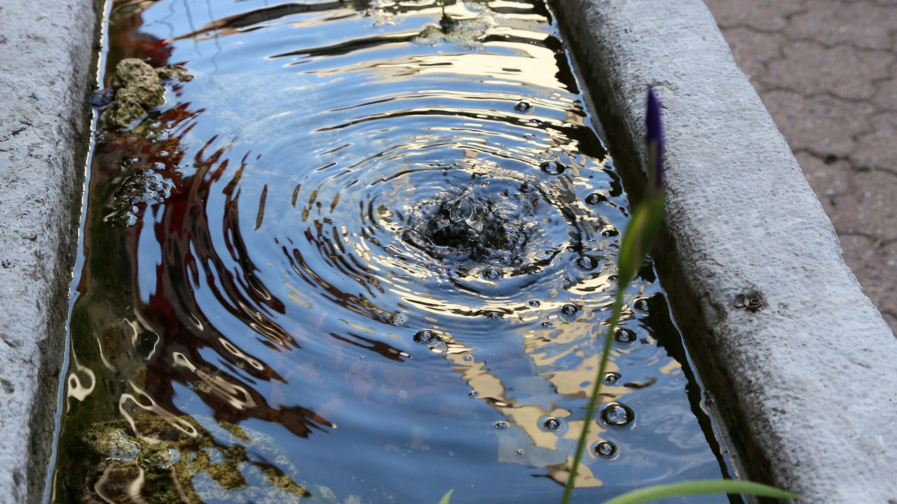 Photo of Outdoor in Solothurn