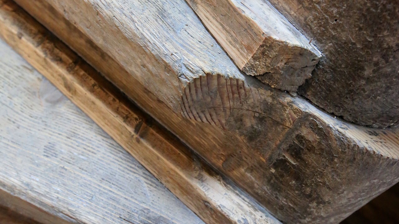 Photo of Others in Solothurn