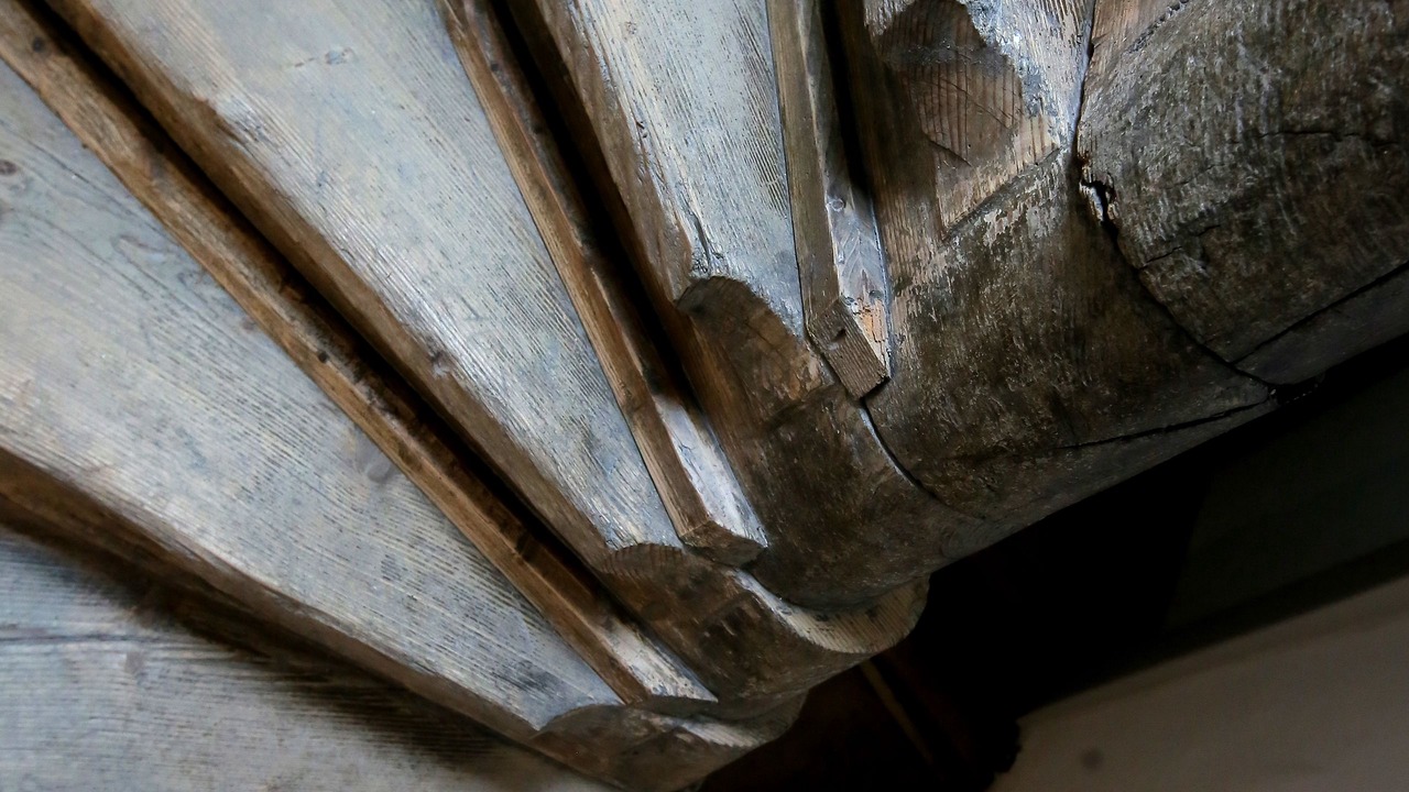 Photo of Others in Solothurn