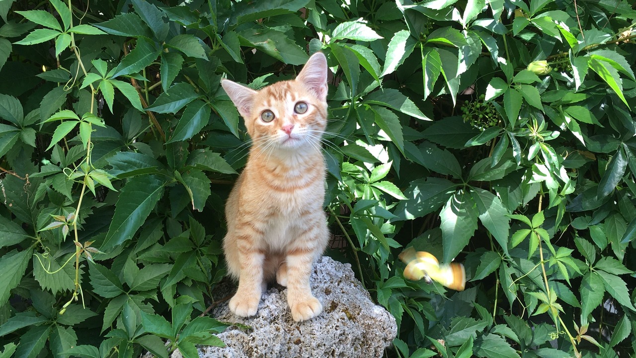 Photo of Outdoor in Solothurn