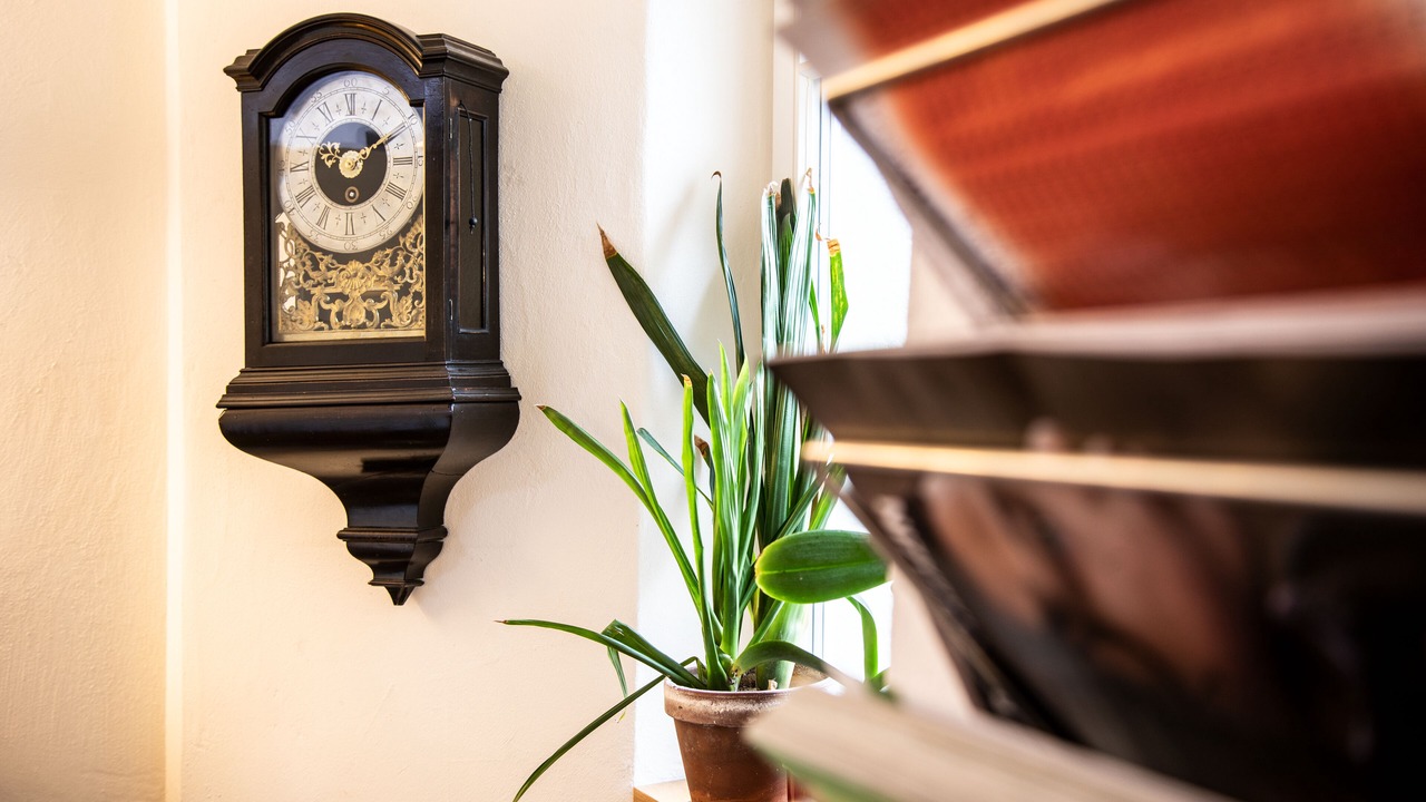 Photo of Others in Solothurn