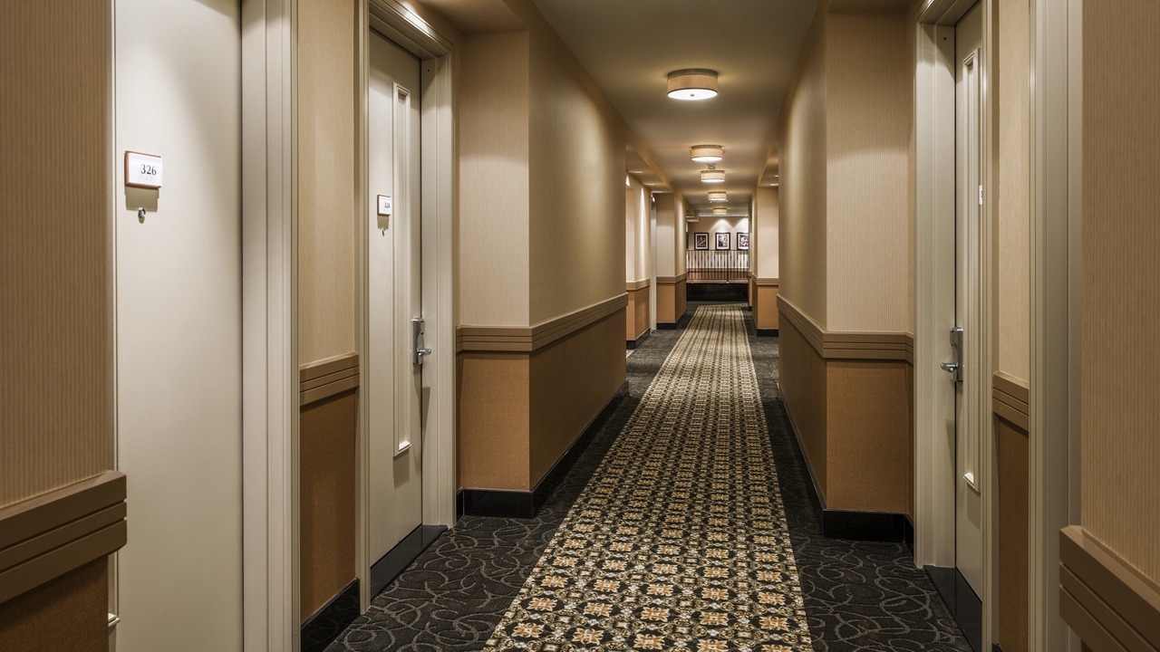 Photo of Others in Mott Haven