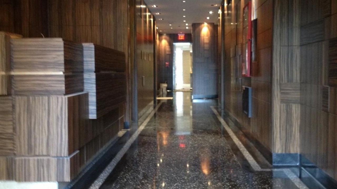 Photo of Others in Mott Haven