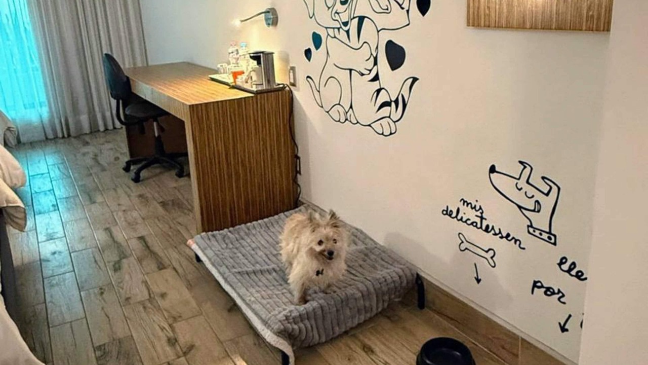 Photo of Bedroom in Toluca