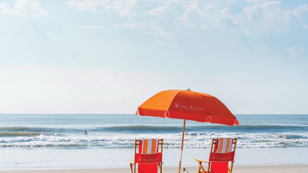 Photo of Others in Stone Harbor