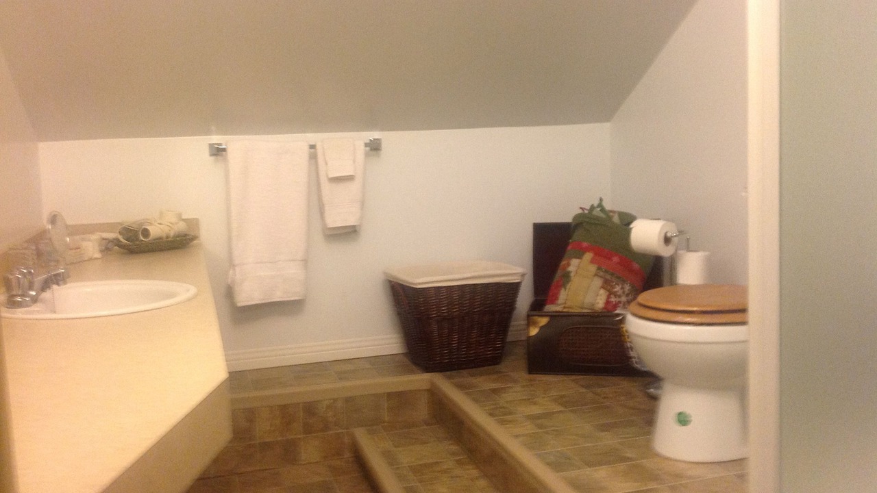 Photo of Bathroom in Saint-Faustin-Lac-Carre