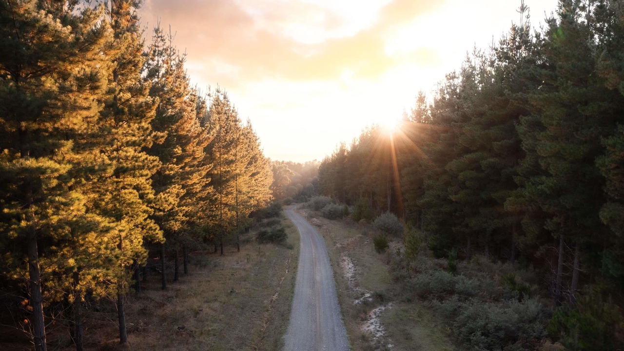 Photo of Outdoor in Creswick
