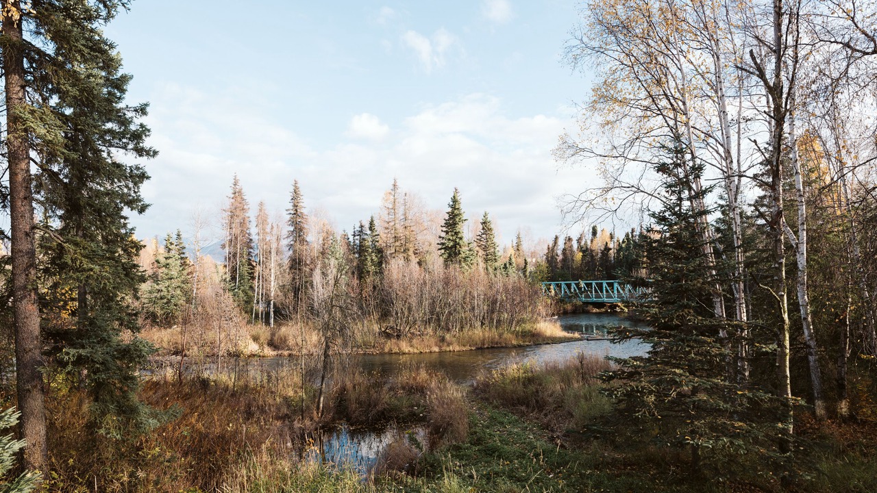 Photo of Outdoor in Campbell Park