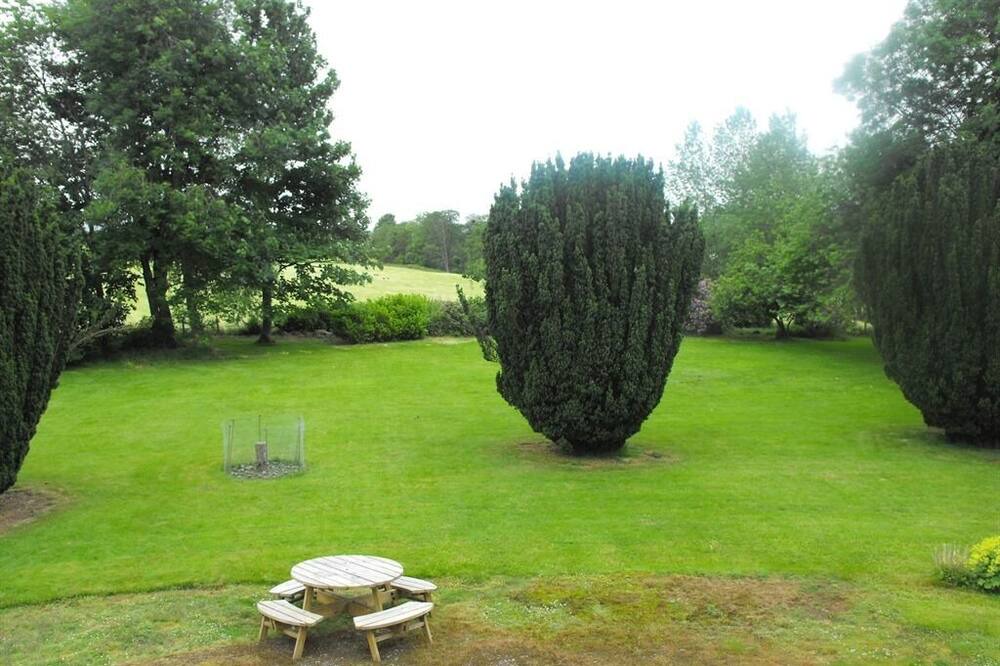 Photo of Others in Stanley