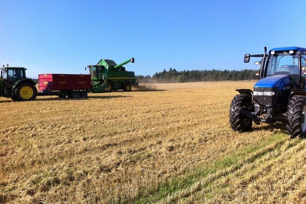 Photo of Others in Stanley