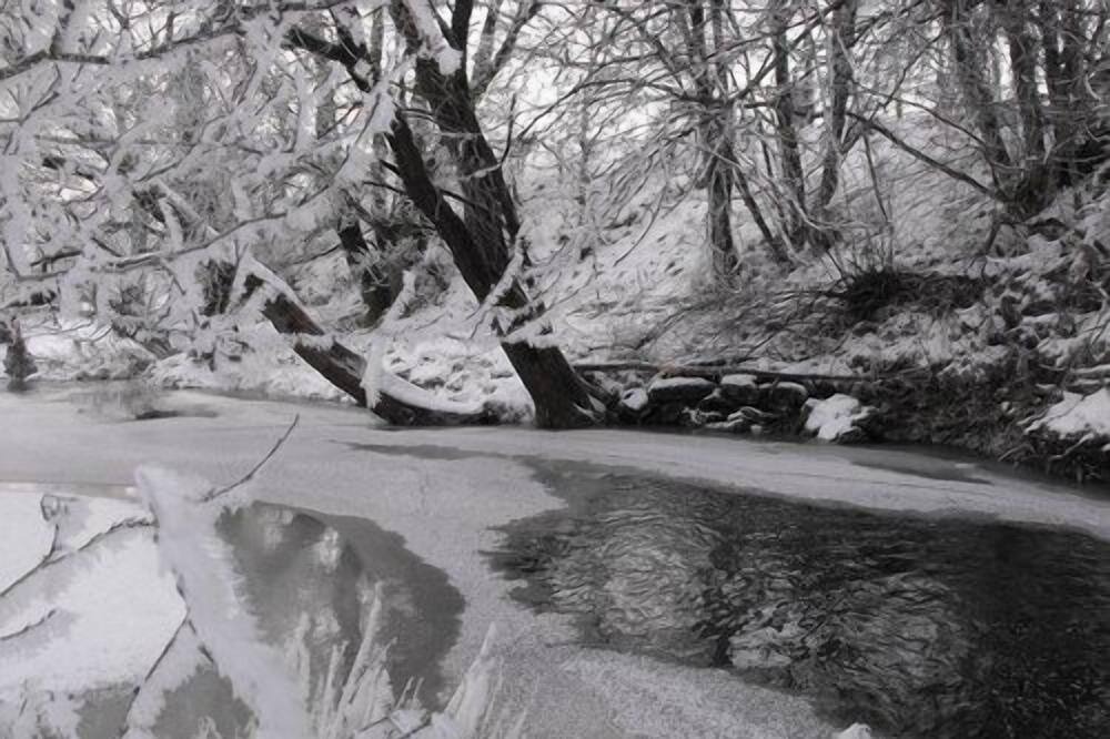 Photo of Others in Stanley