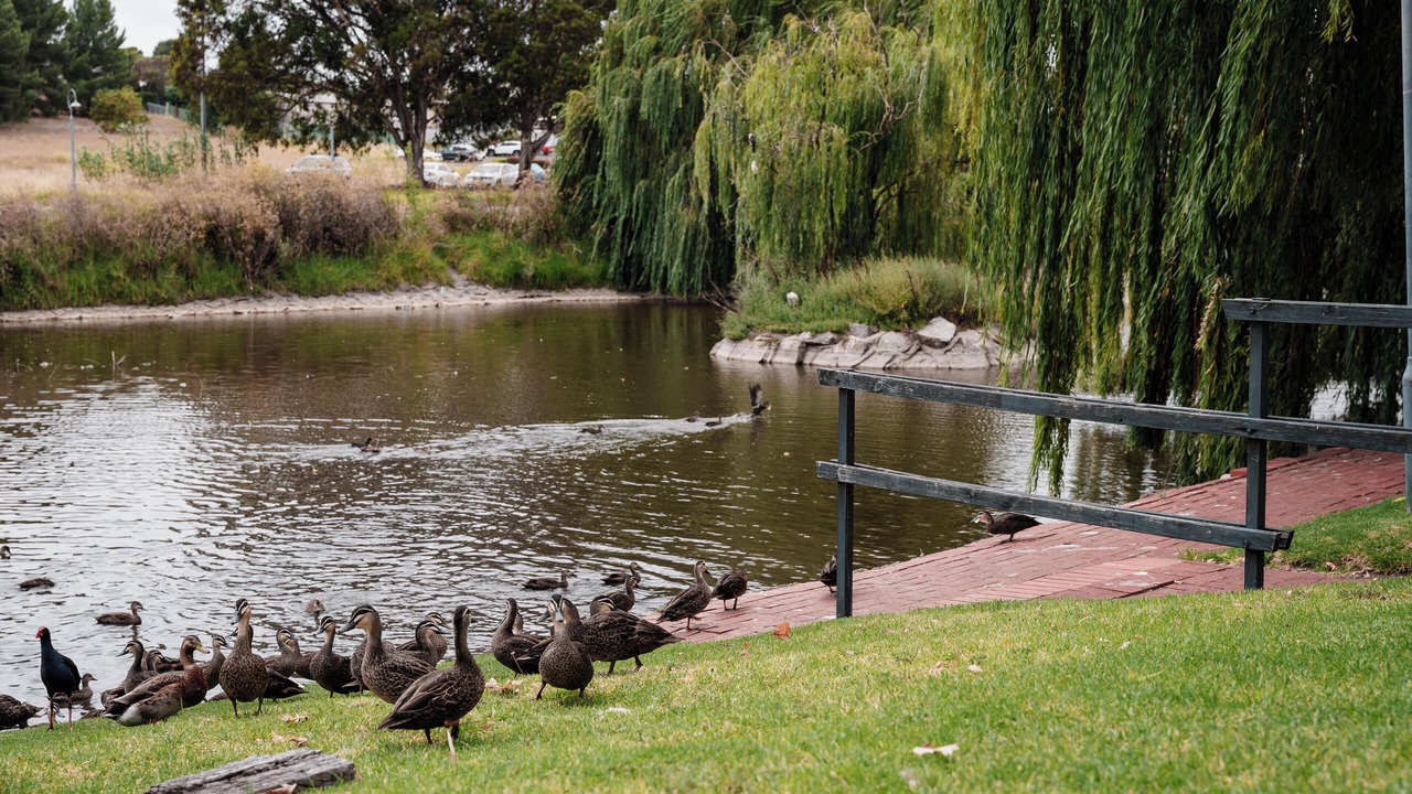 Photo of Outdoor in Old Reynella