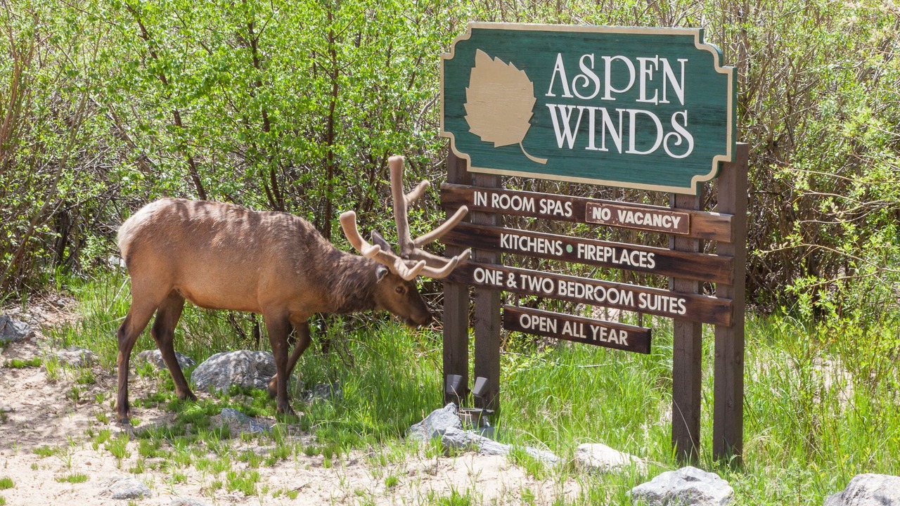 Photo of Outdoor in Fall River Estates