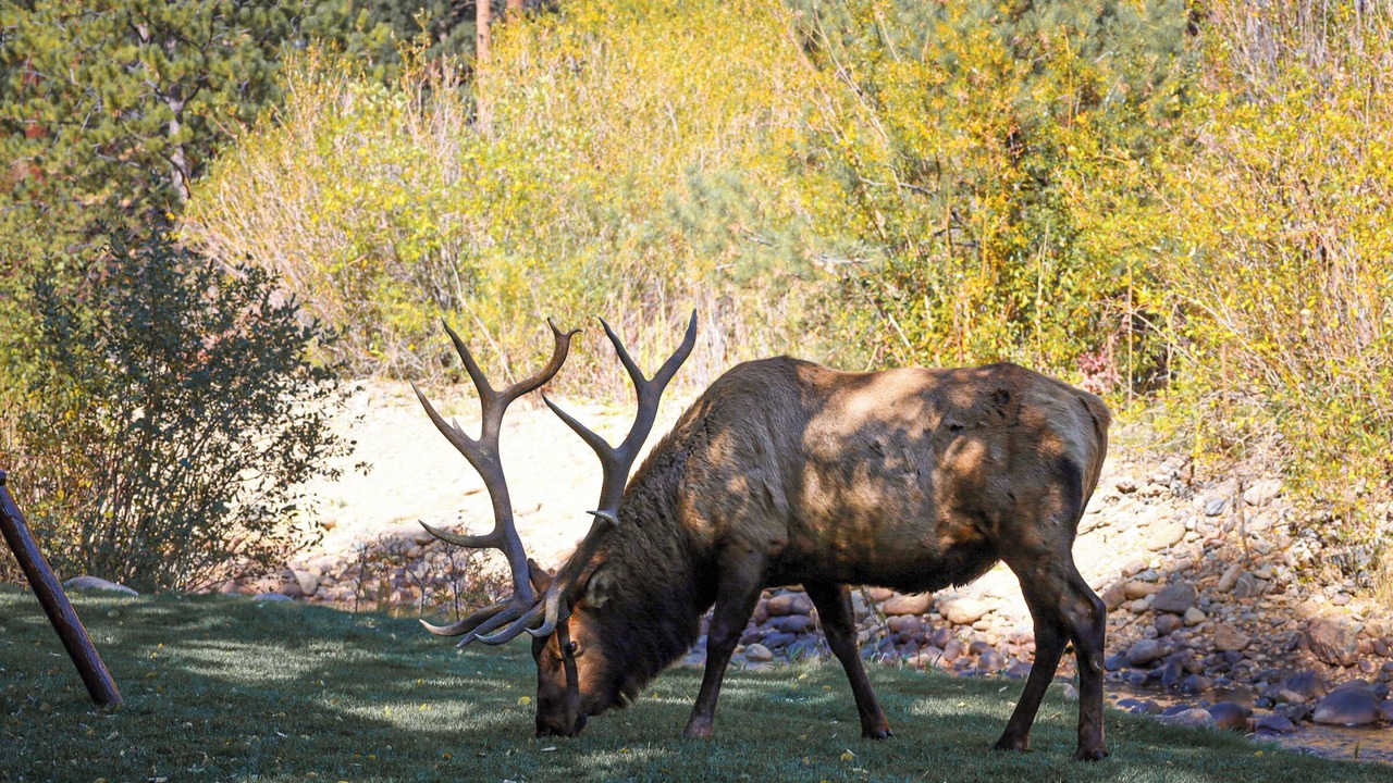 Photo of Outdoor in Fall River Estates