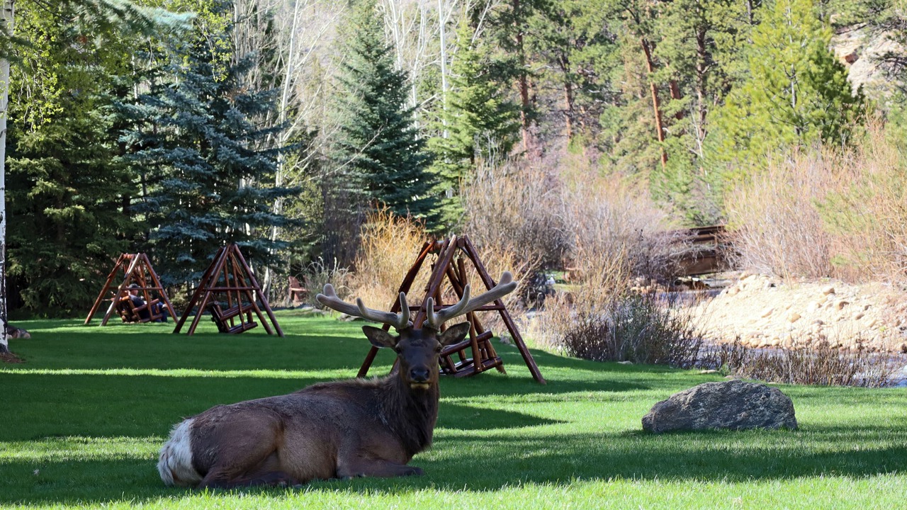Photo of Outdoor in Fall River Estates