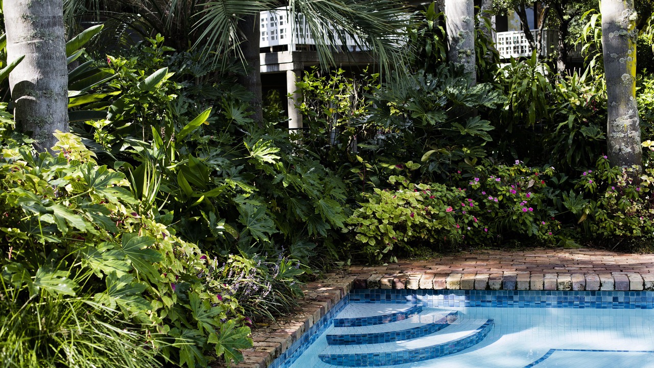 Photo of Outdoor in Takapuna