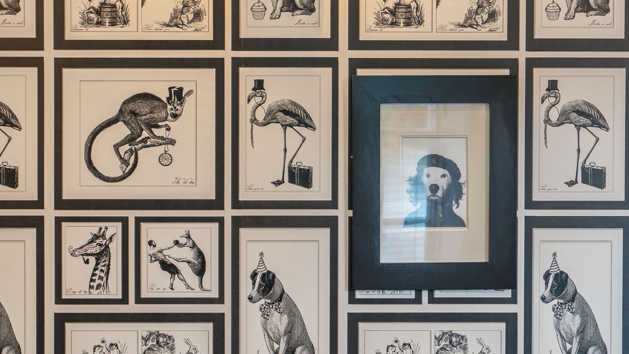 Photo of Others in Banchory