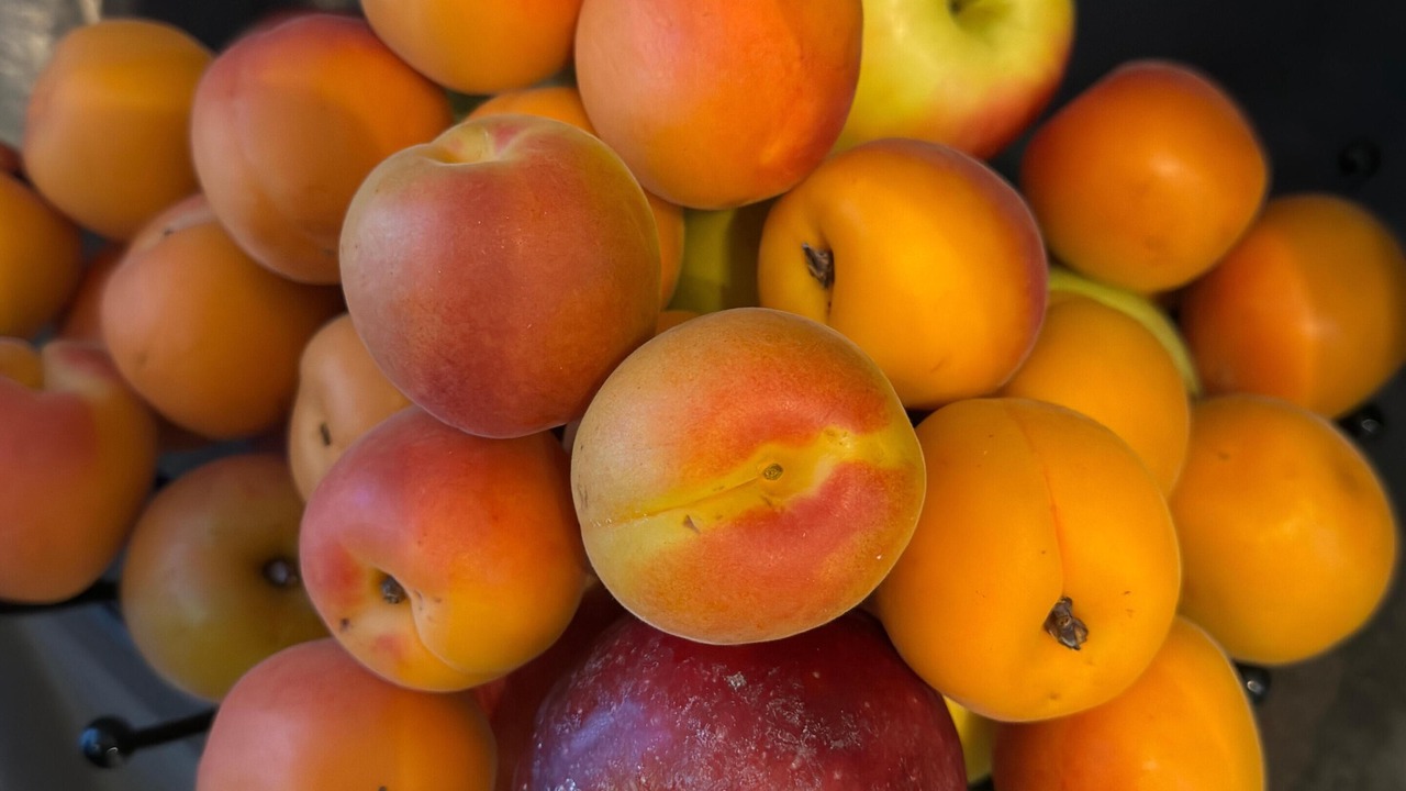 Photo of Others in Ales