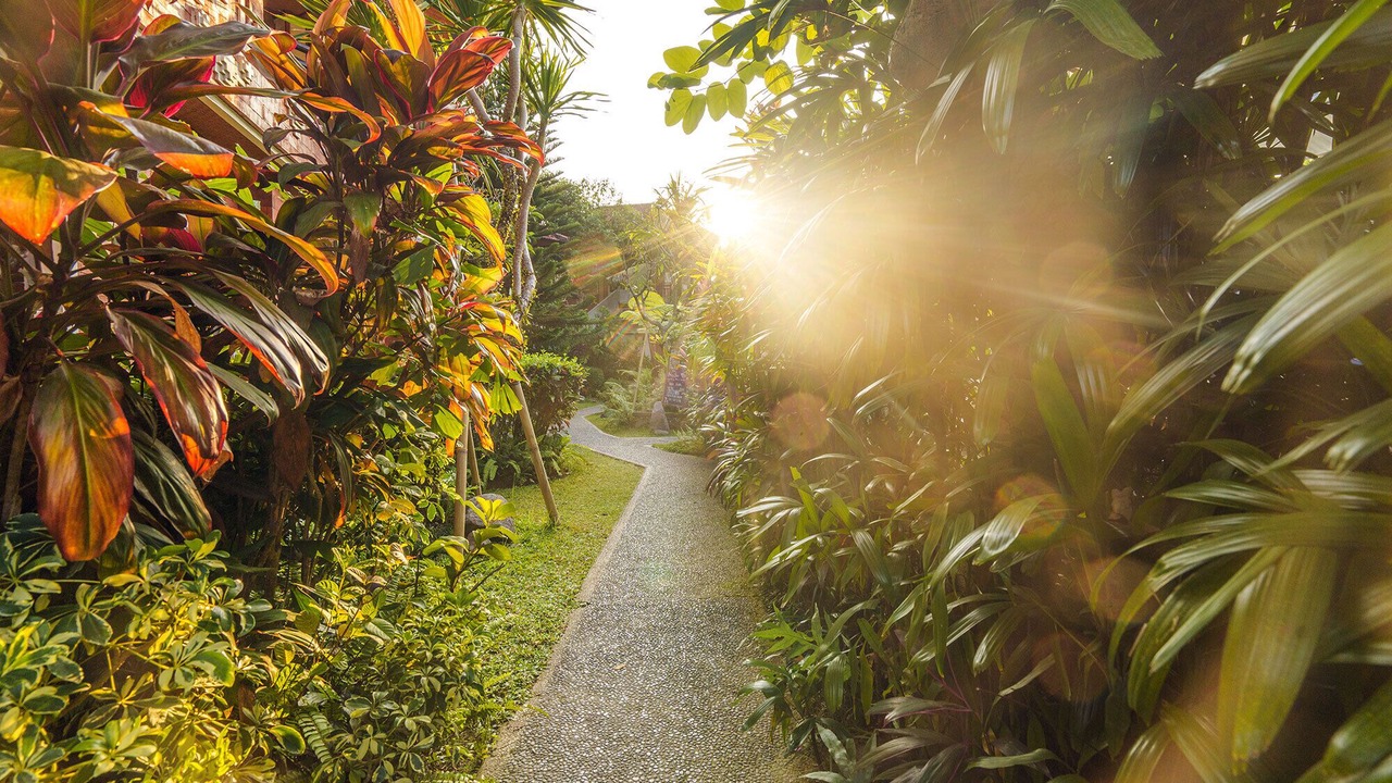 Photo of Outdoor in Pengosekan