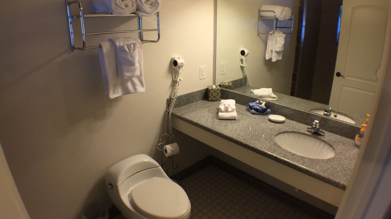 Photo of Others in Lost Bridge Village