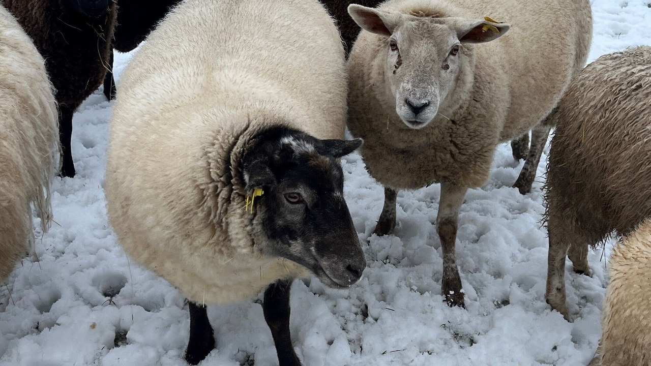 Photo of Outdoor in Christiansfeld