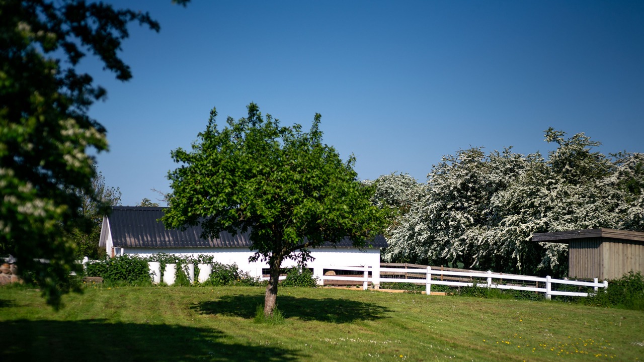 Photo of Outdoor in Christiansfeld