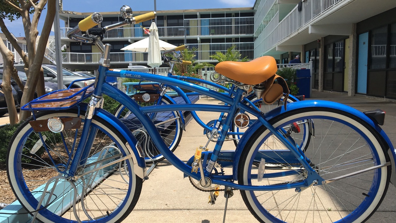 Photo of Outdoor in Dewey Beach