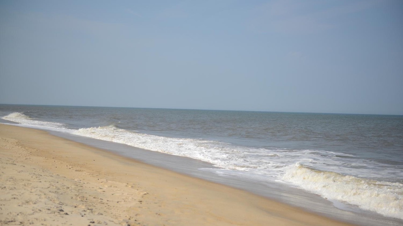Photo of Others in Dewey Beach