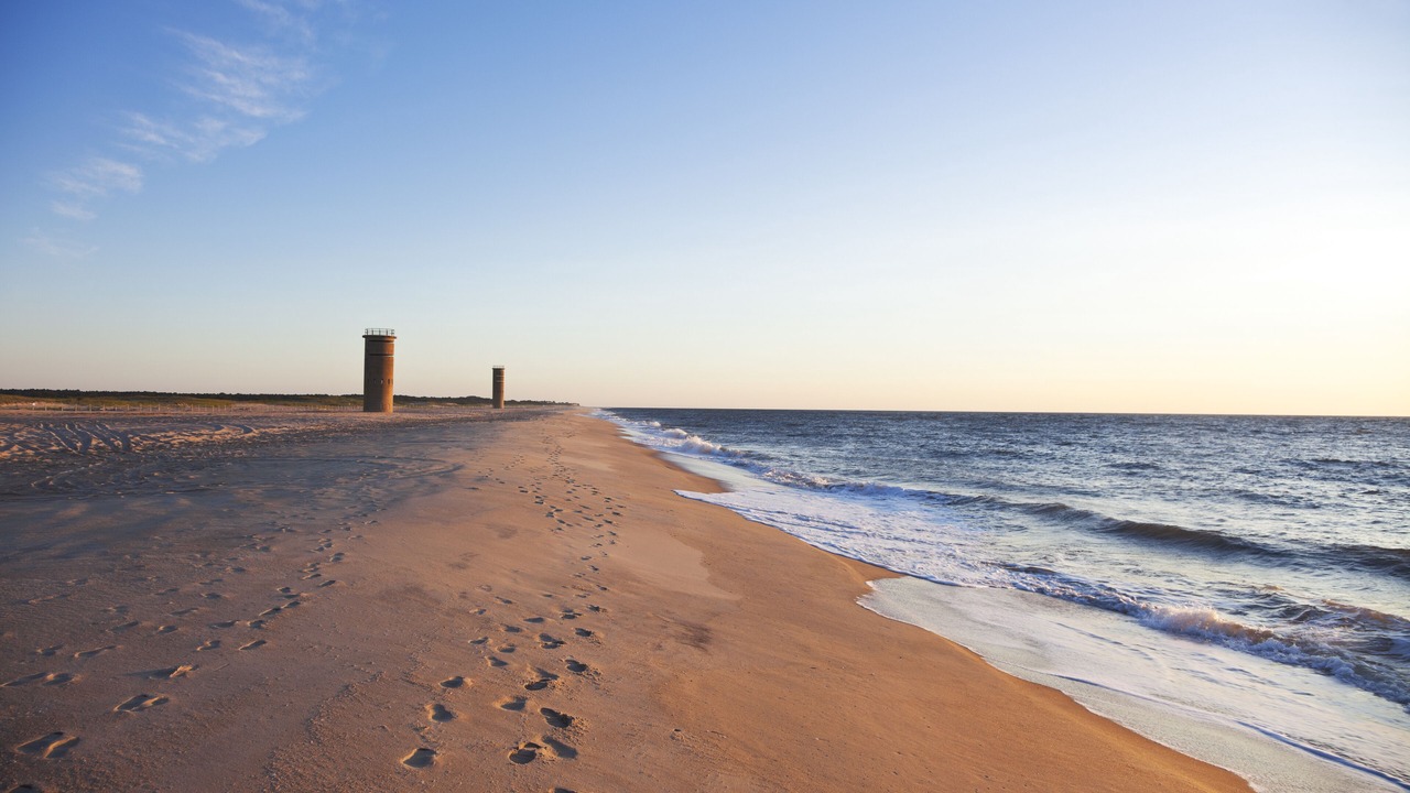 Photo of Others in Dewey Beach