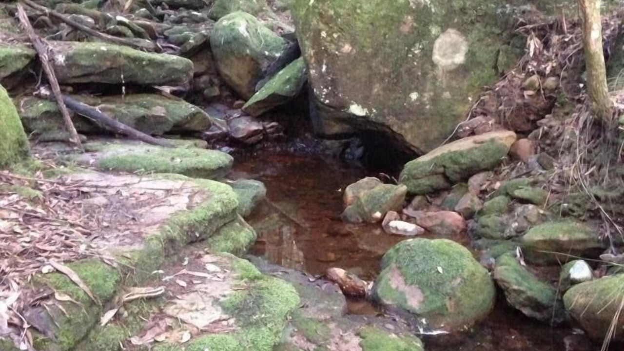 Photo of Outdoor in Wheeny Creek