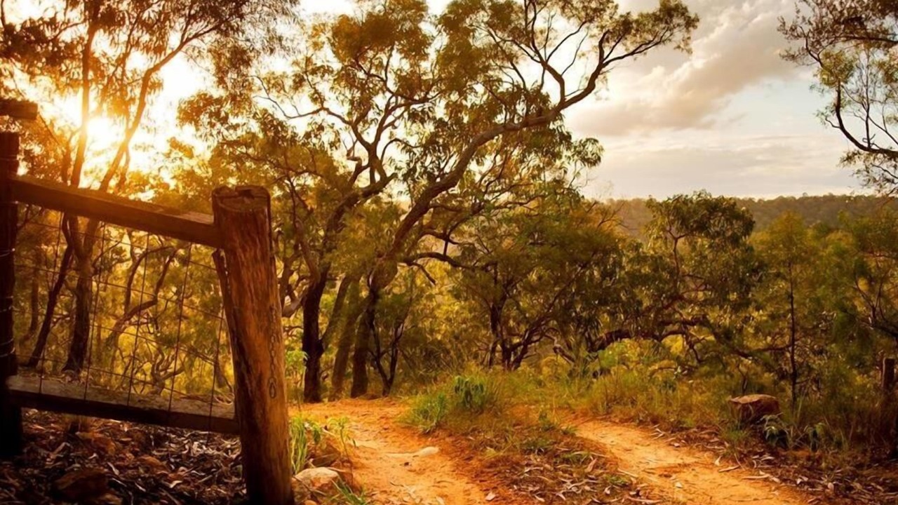 Photo of Outdoor in Wheeny Creek