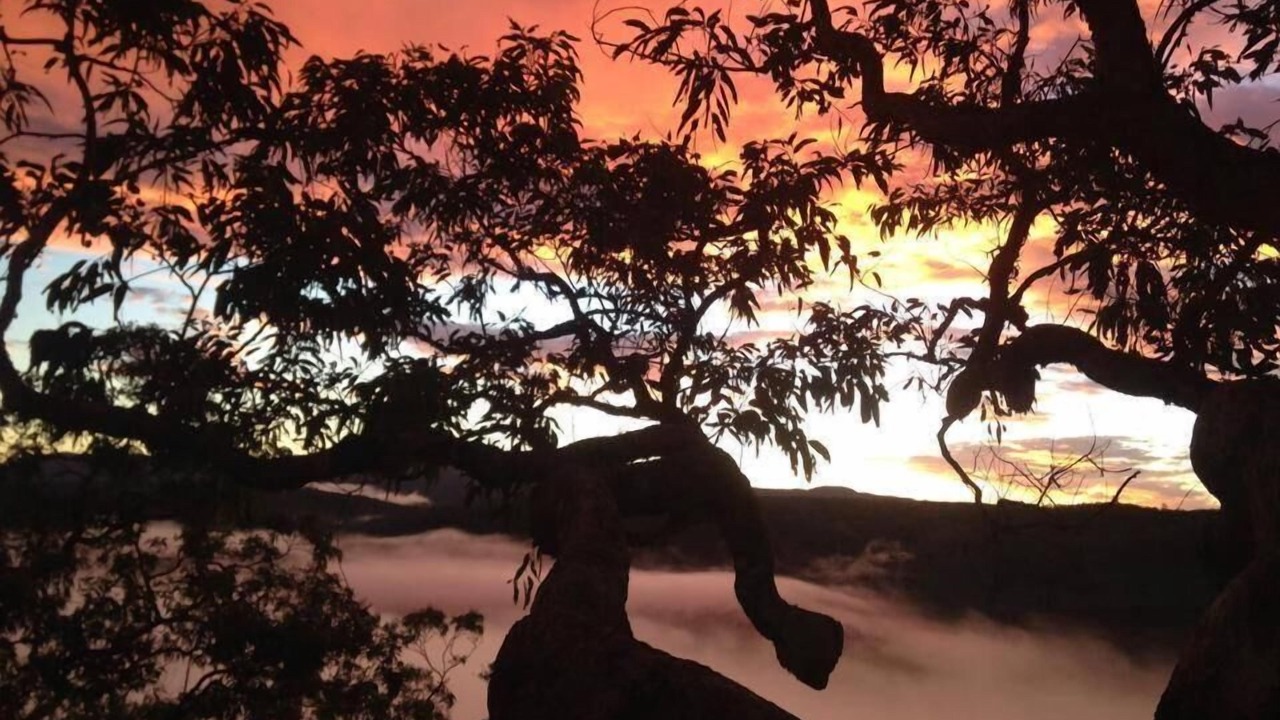 Photo of Outdoor in Wheeny Creek