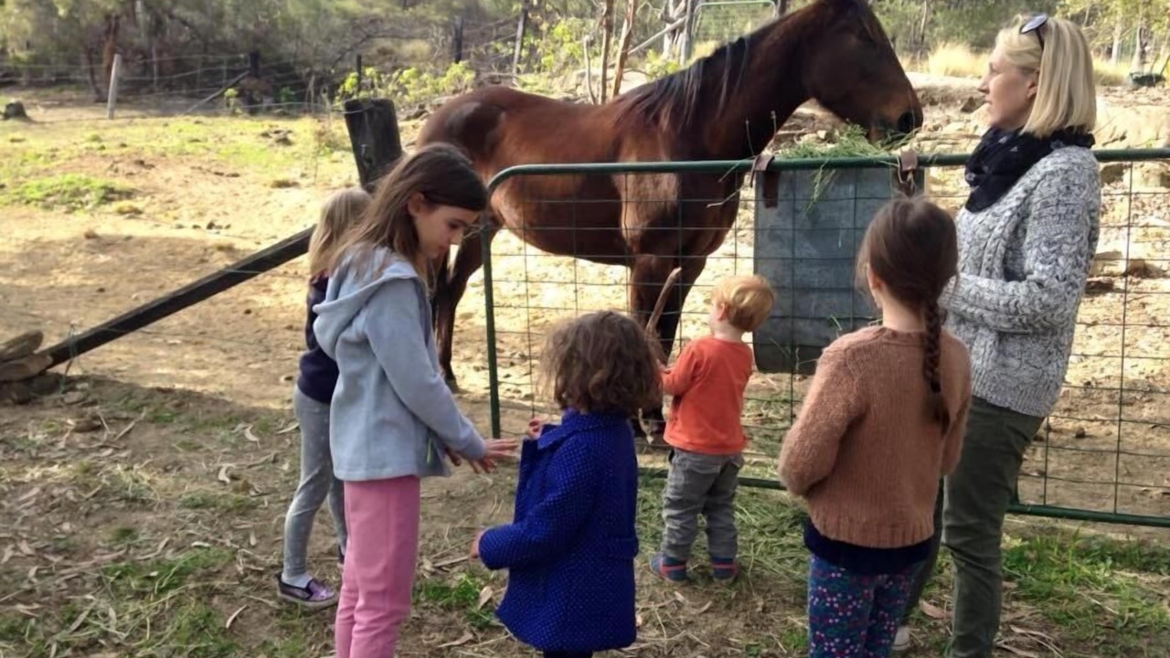 Photo of Others in Wheeny Creek