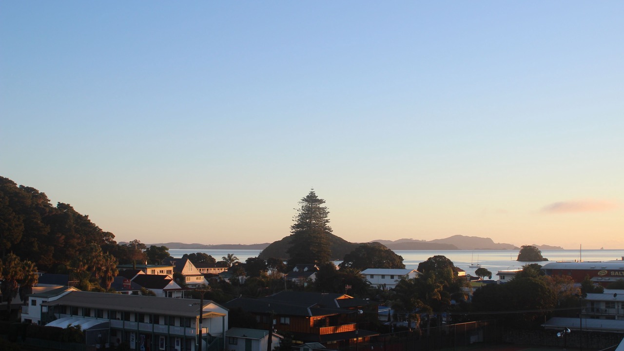 Photo of Others in Paihia