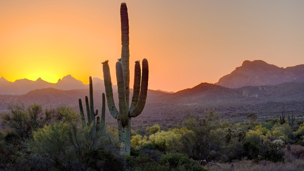 Photo of Others in Tempe