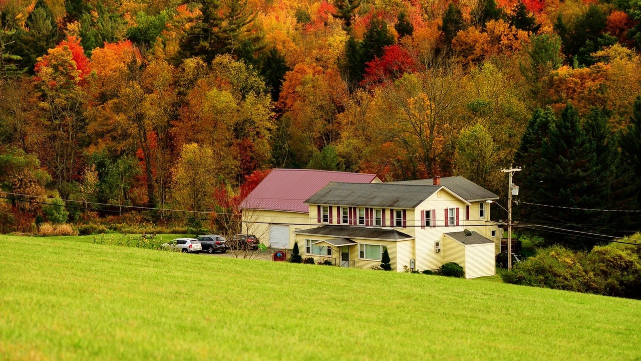 Photo of Outdoor in Maplecrest