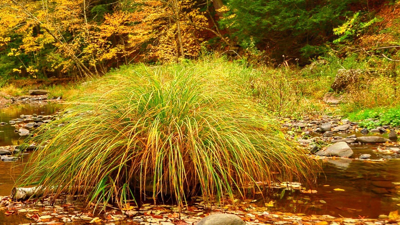 Photo of Outdoor in Maplecrest