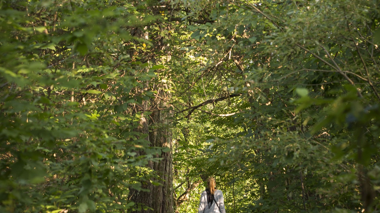 Photo of Outdoor in Lac-Brome