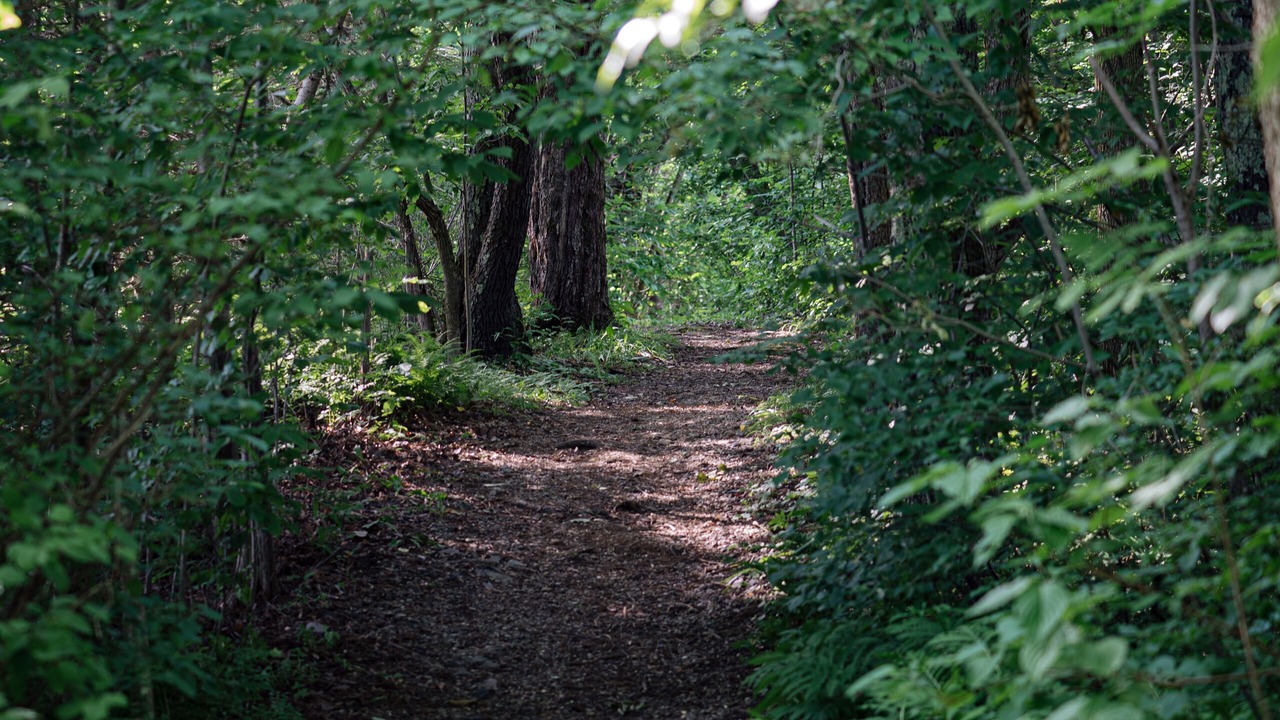 Photo of Outdoor in Lac-Brome