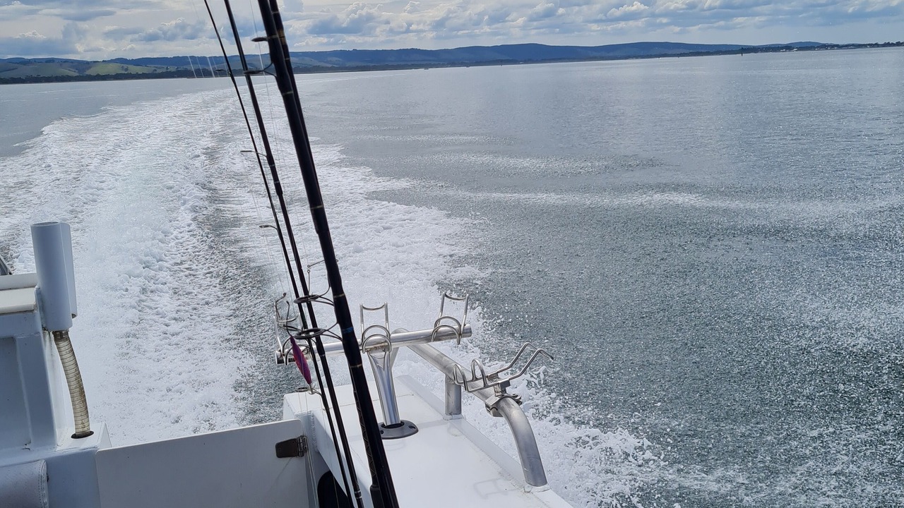 Photo of Others in Toora