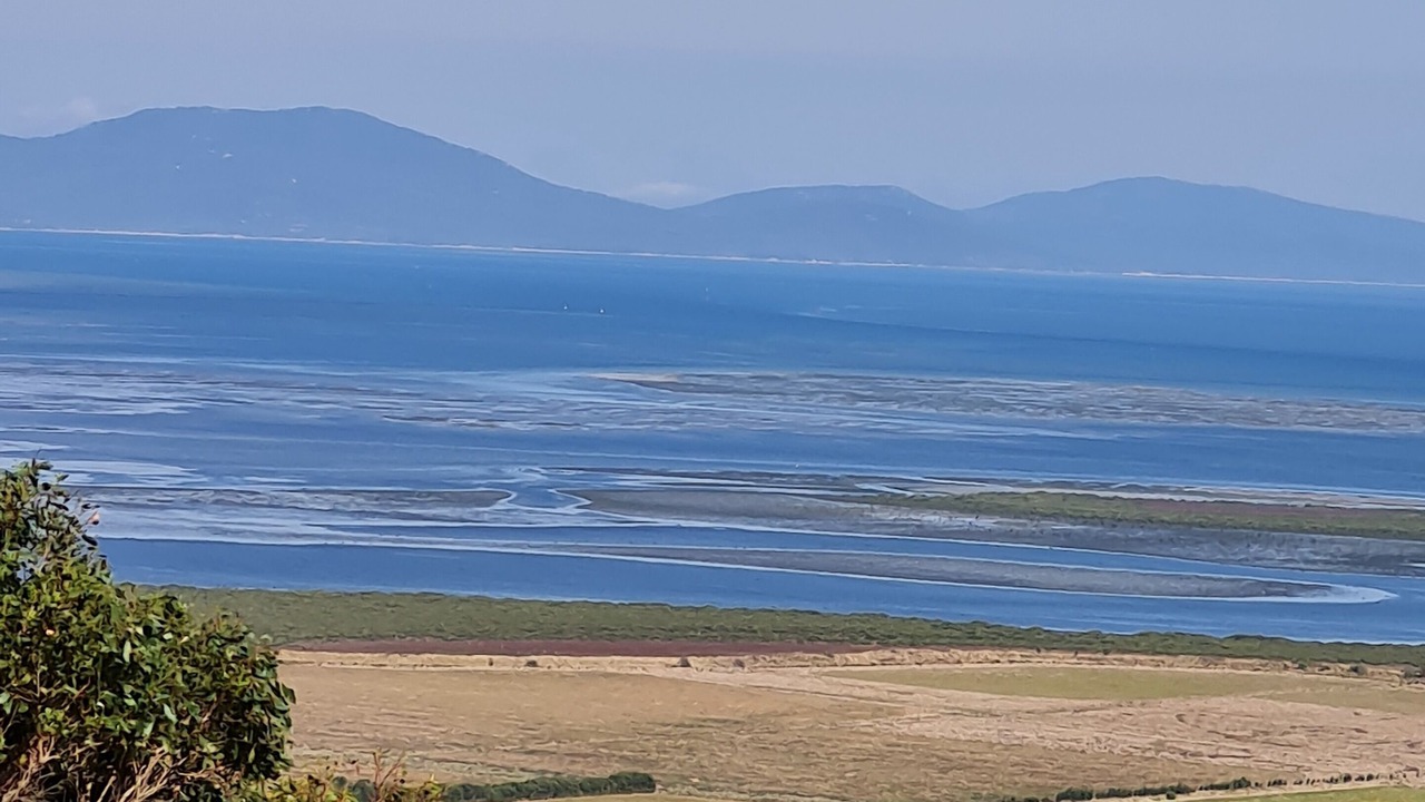 Photo of Others in Toora