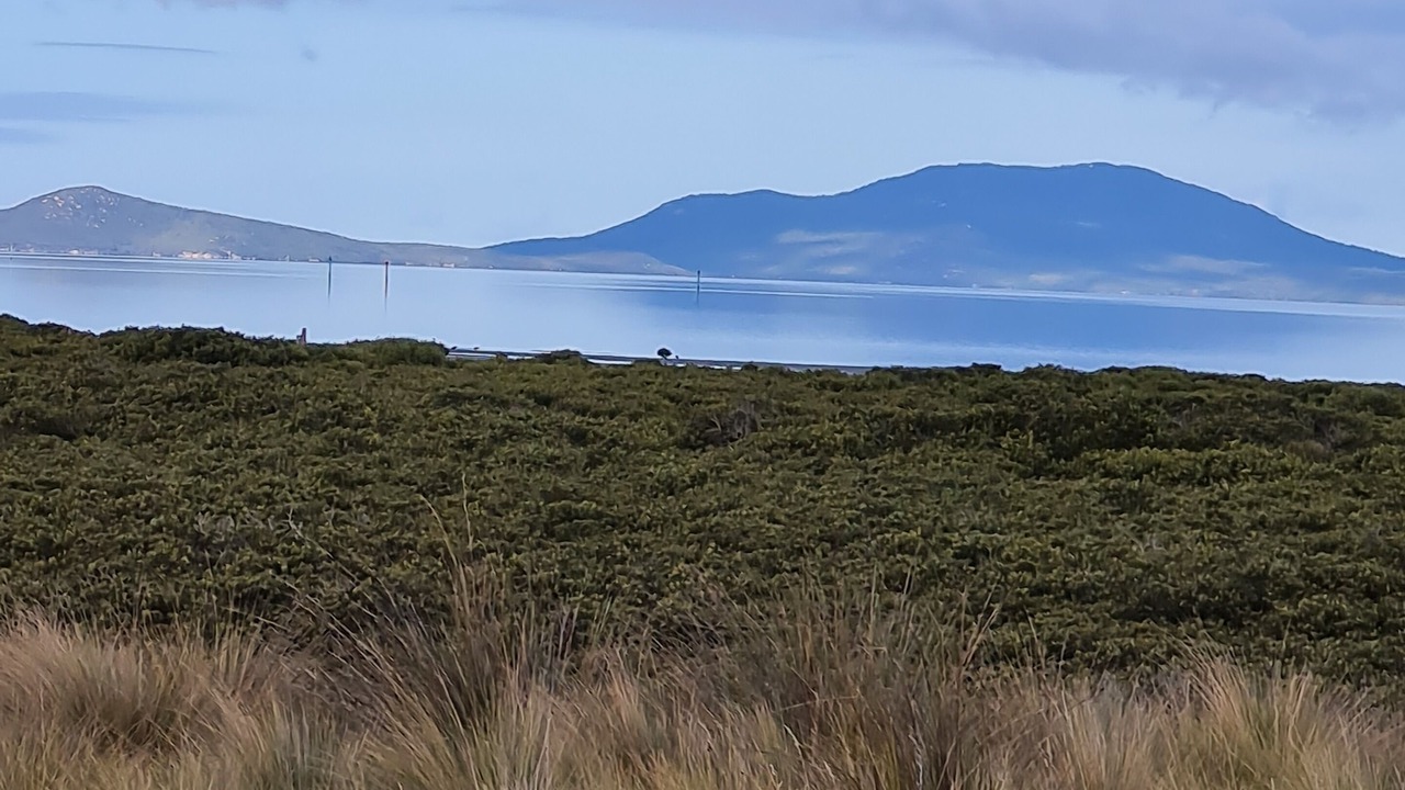 Photo of Others in Toora